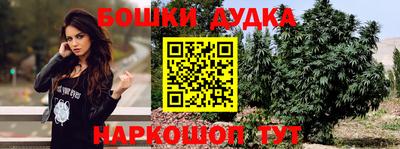 крисы Белореченск
