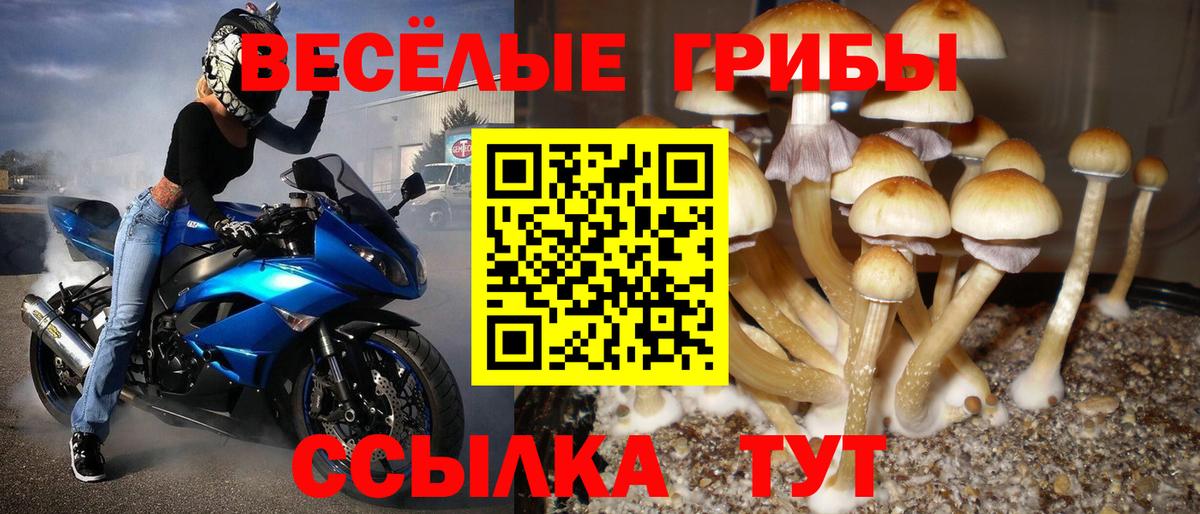 Псилоцибиновые грибы Psilocybe  Галлюциногенные грибы GOLDEN TEACHER  Вход с VPN  Вятские Поляны 
